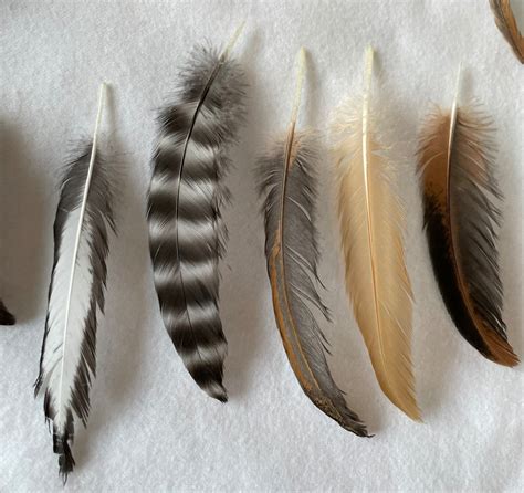 buy chicken feathers|hummingbird feathers for sale.